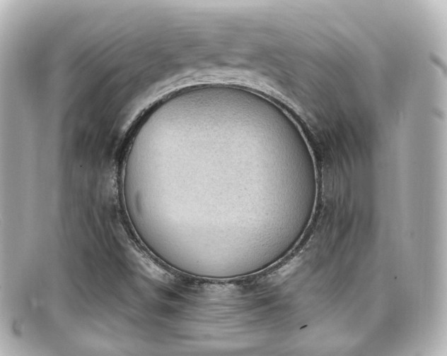 X0000099401498200805081522