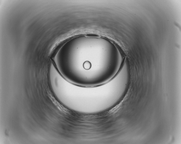 X0000099401499200805081522