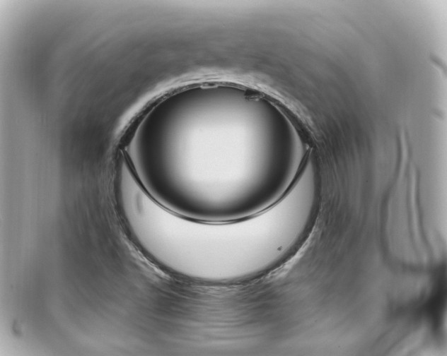 X0000099401502200805081522