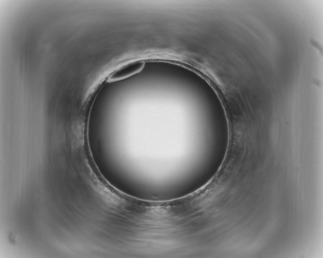 X0000099401504200805081522