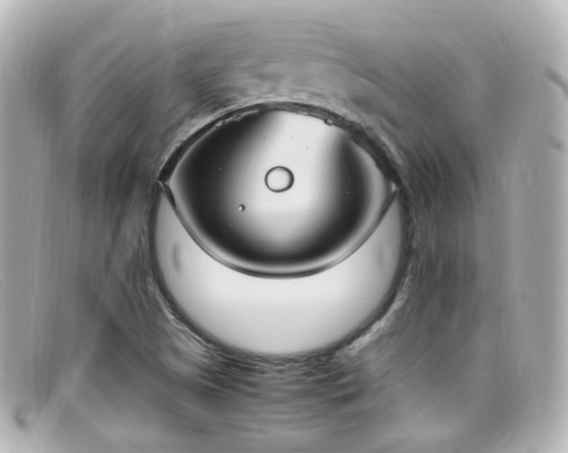 X0000099401505200805081522