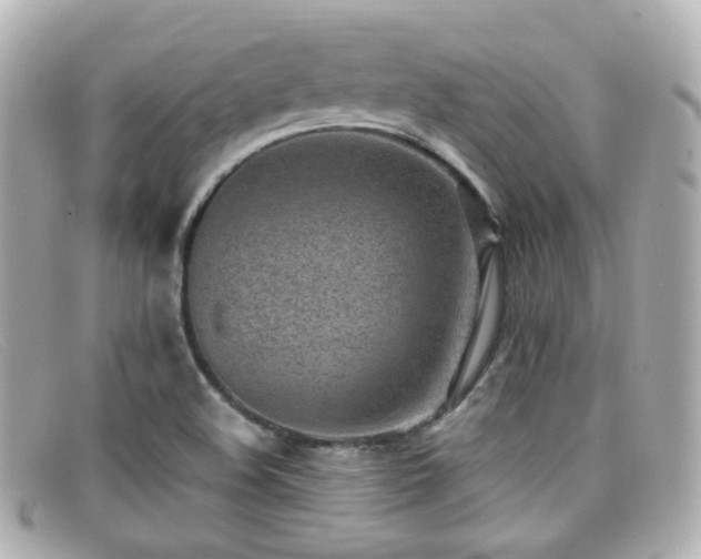 X0000099401508200805081522