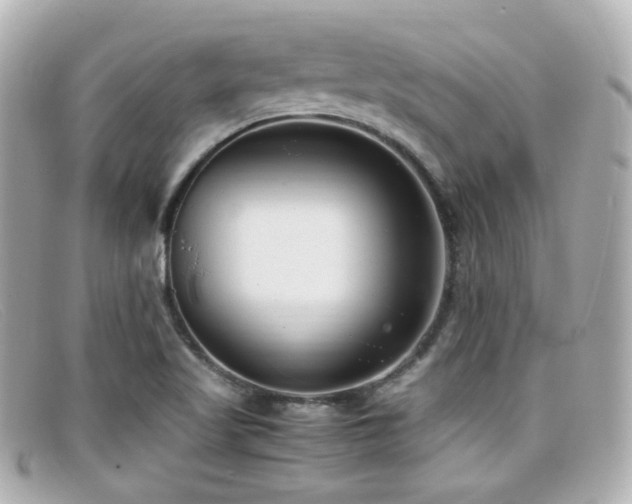 X0000099401509200805081522