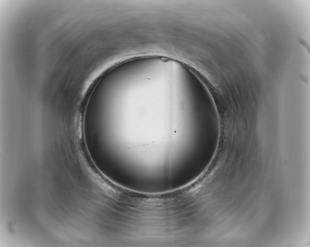 X0000099401510200805081522