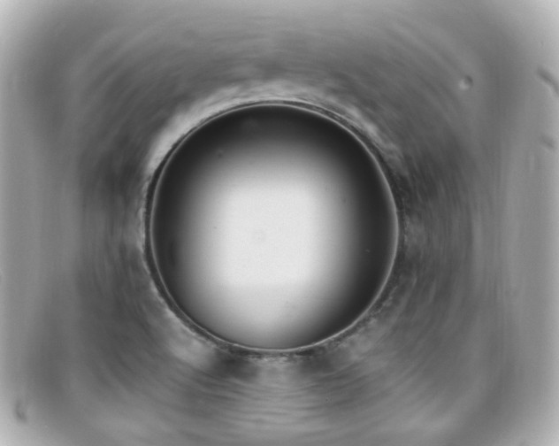 X0000099401512200805081522