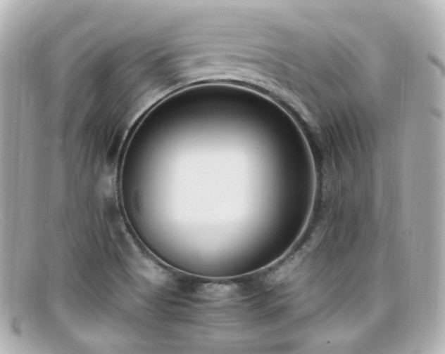 X0000099401513200805081522