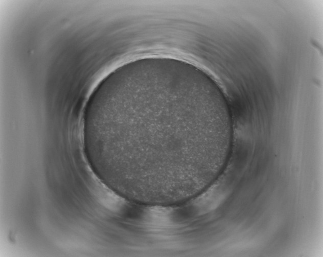 X0000099401514200805081522