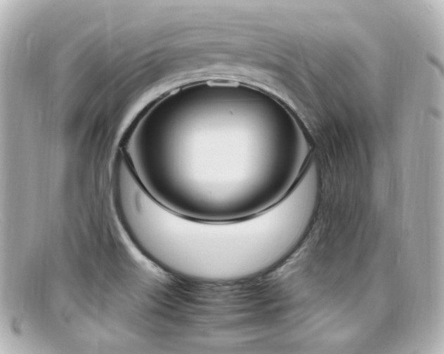 X0000099401515200805081522