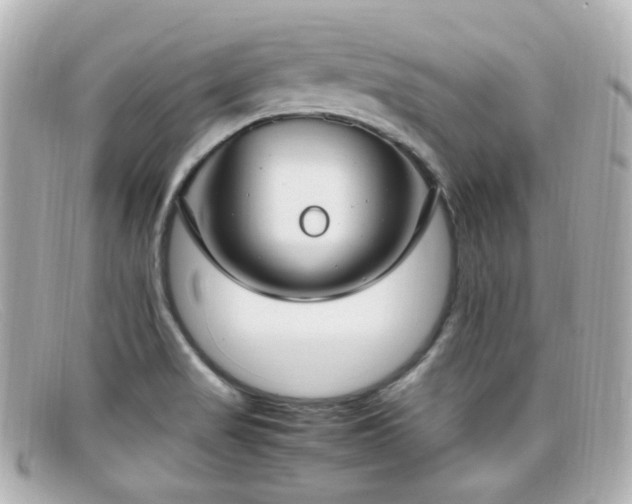 X0000099401517200805081522