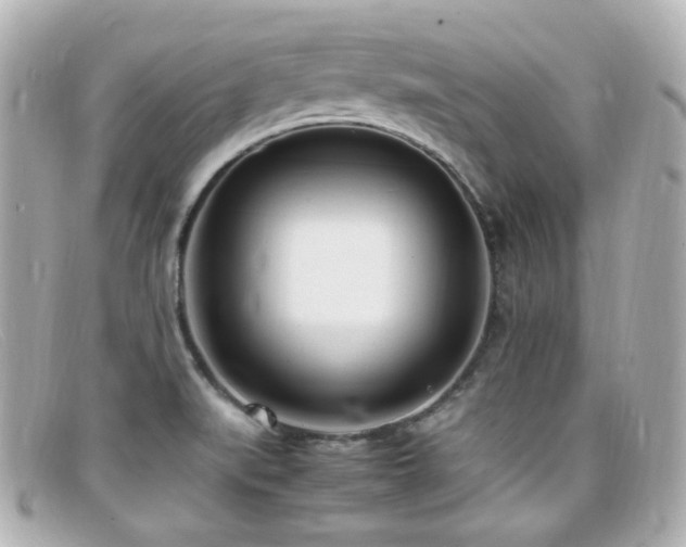 X0000099401519200805081522