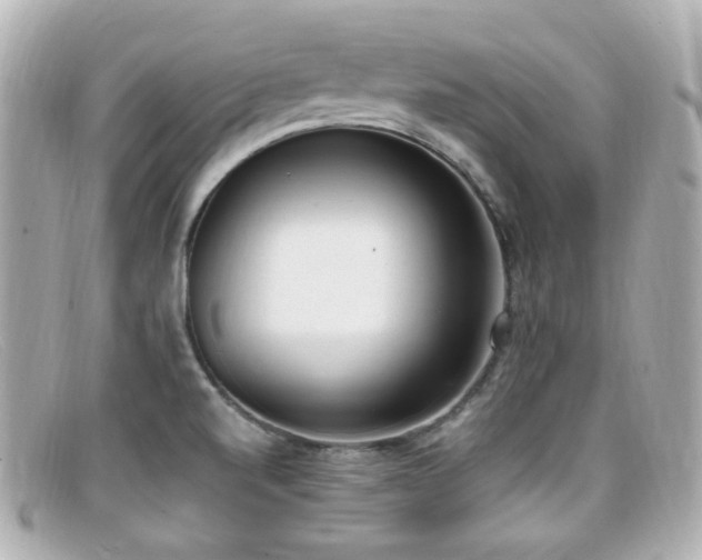 X0000099401520200805081522