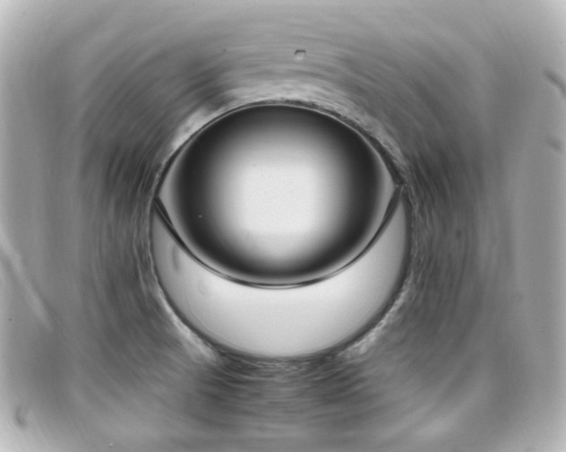 X0000099401521200805081522