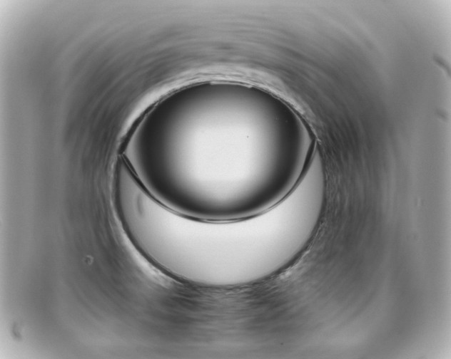 X0000099401523200805081522