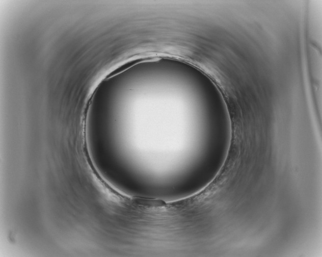 X0000099401524200805081522