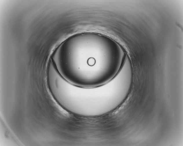 X0000099401525200805081522