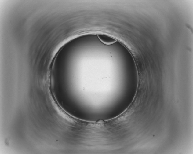 X0000099401526200805081522