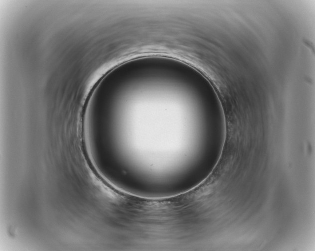 X0000099401527200805081522