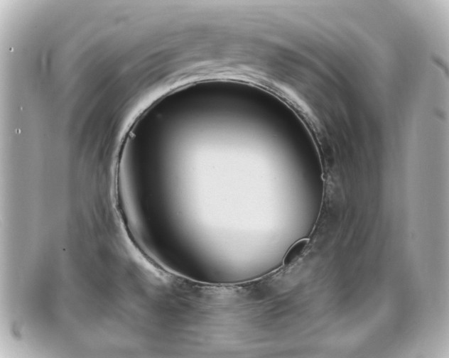 X0000099401528200805081522