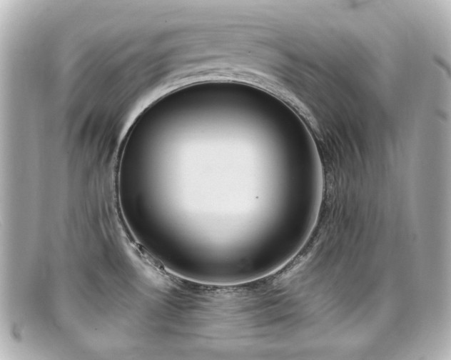 X0000099401530200805081522