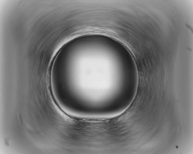 X0000099401531200805081522