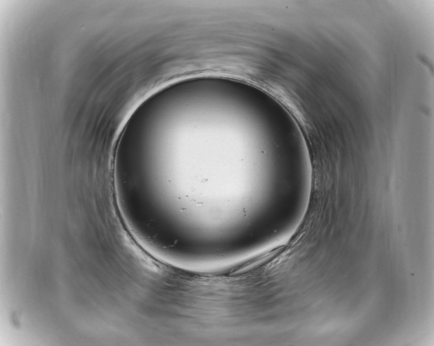 X0000099401532200805081522