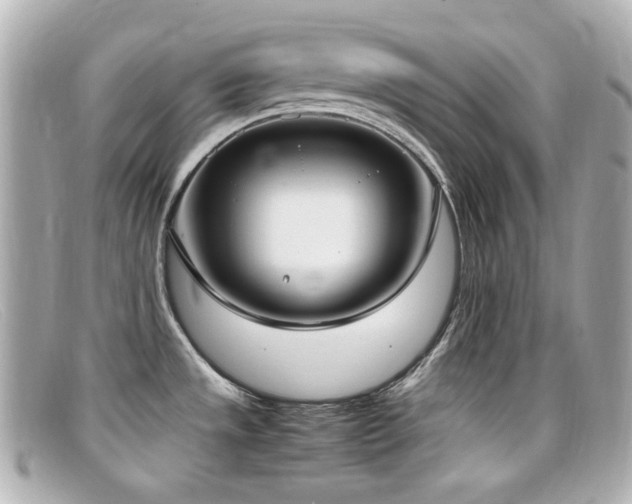 X0000099401533200805081522
