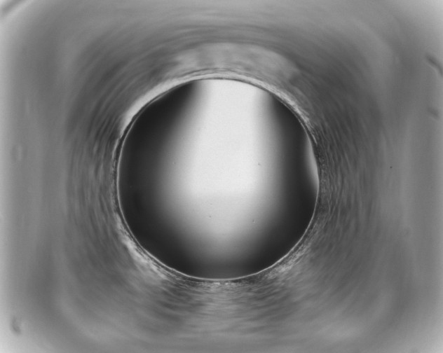 X0000099401534200805081522