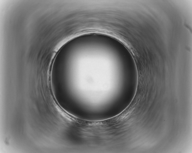 X0000099401535200805081522