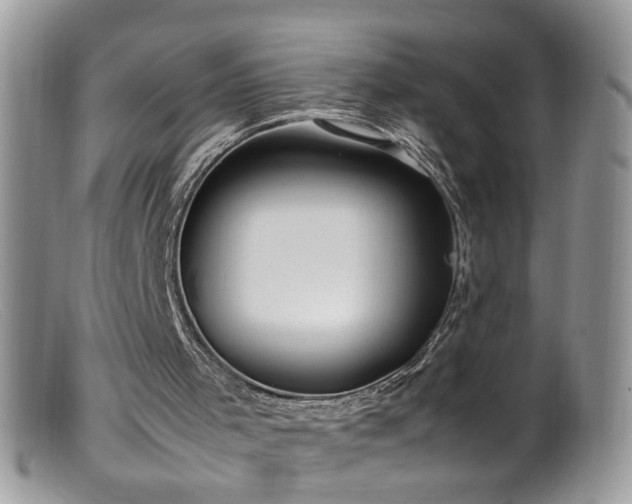 X0000099400001200805151716