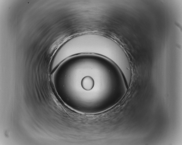 X0000099400002200805151716