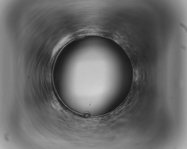 X0000099400004200805151716