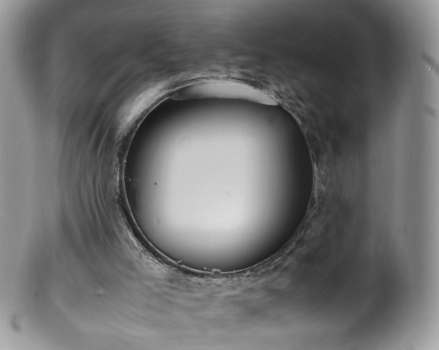 X0000099400005200805151716