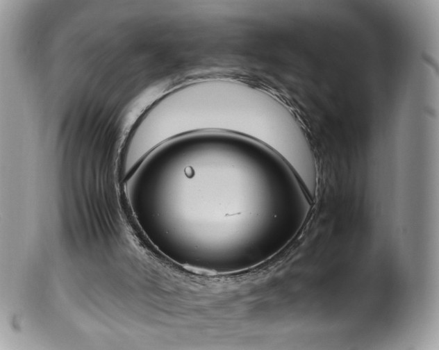 X0000099400006200805151716