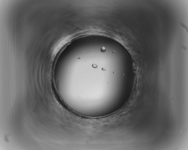 X0000099400007200805151716