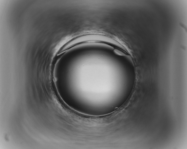 X0000099400008200805151716