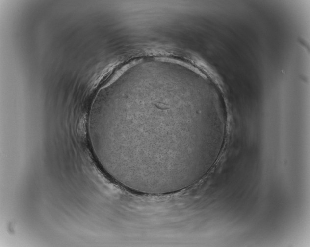 X0000099400009200805151716