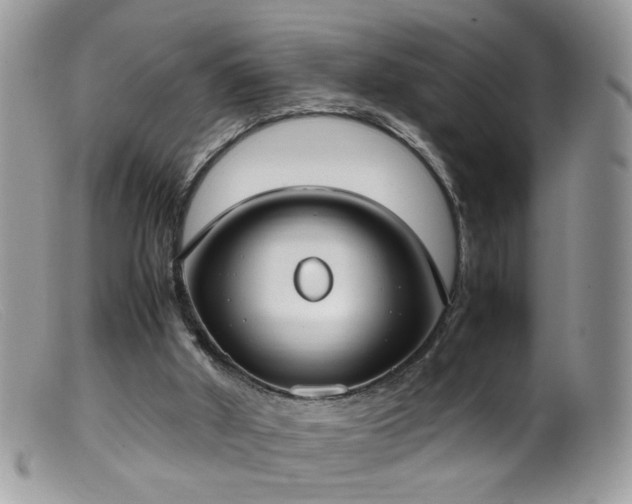 X0000099400010200805151716