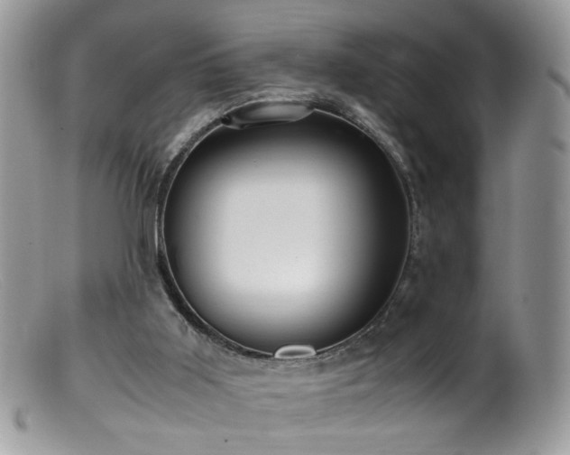 X0000099400011200805151716