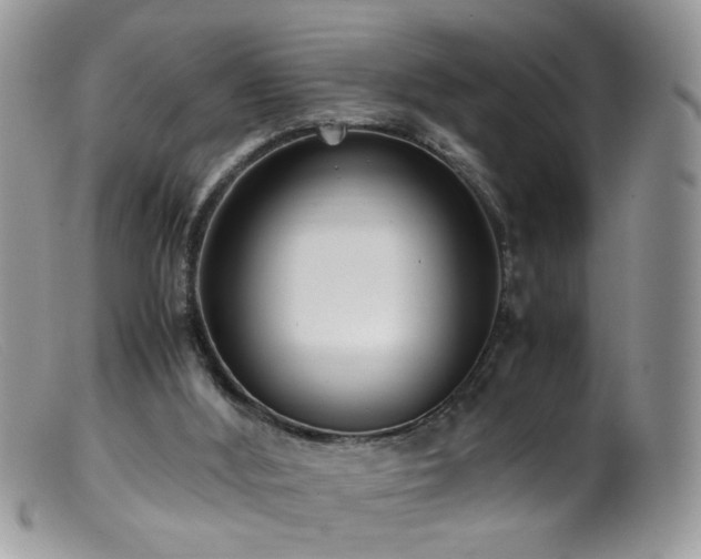 X0000099400012200805151716