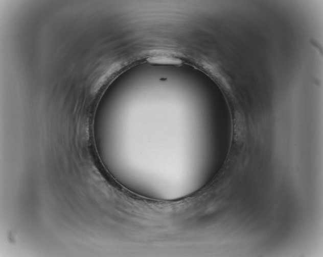 X0000099400015200805151716