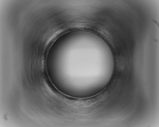 X0000099400016200805151716