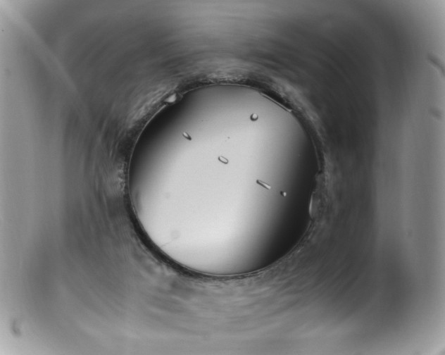 X0000099400017200805151716