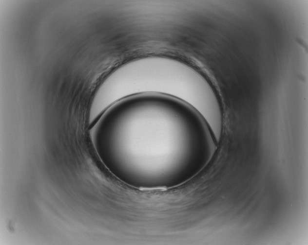 X0000099400018200805151716