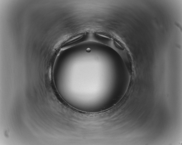 X0000099400019200805151716