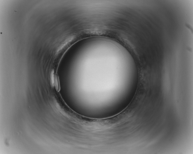 X0000099400020200805151716