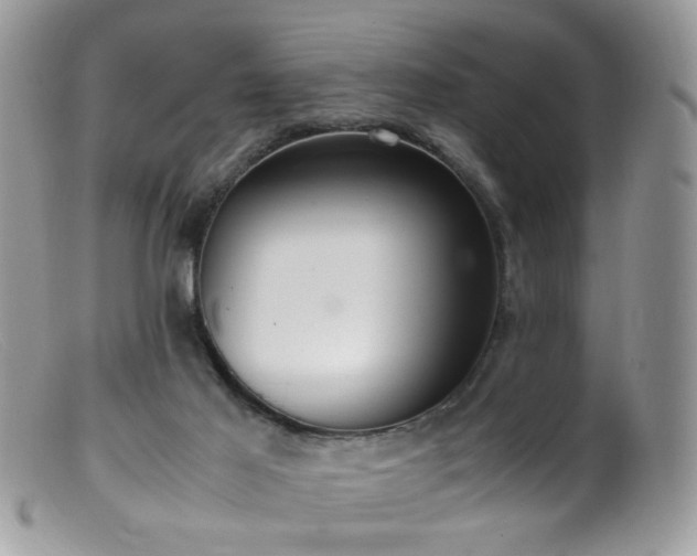 X0000099400021200805151716