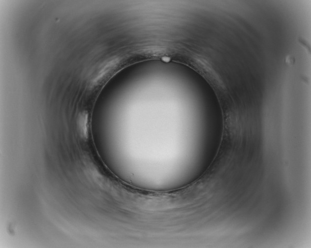 X0000099400024200805151716