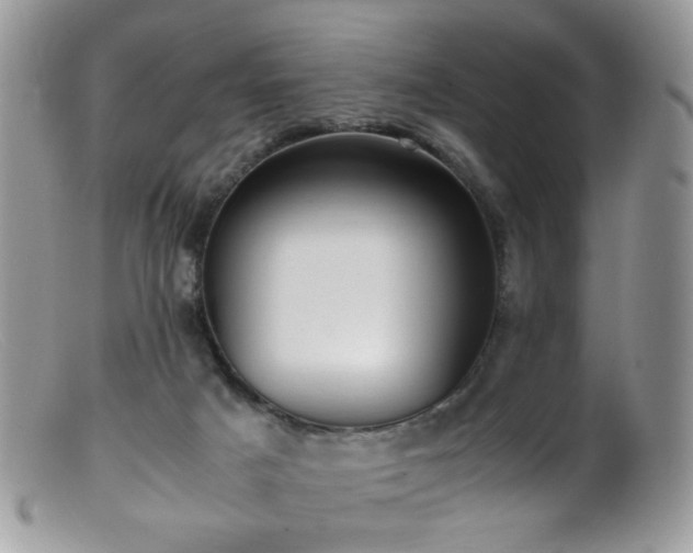 X0000099400025200805151716