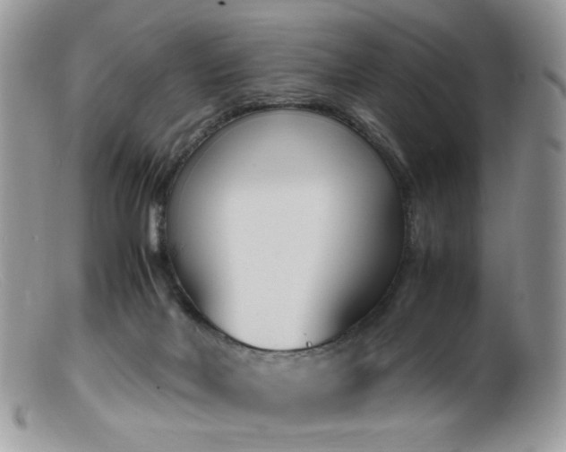 X0000099400026200805151716