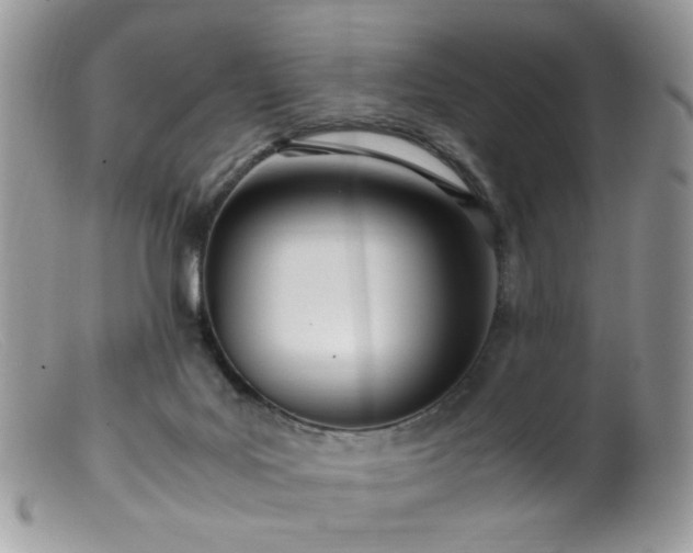 X0000099400027200805151716